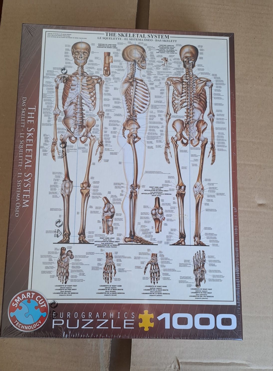 Puzzle Esqueleto humano (caixa selada)