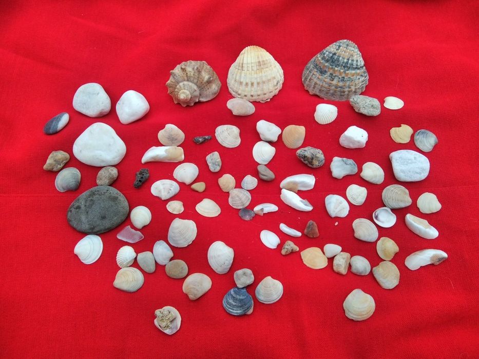 1 пакетом ракушки камешки в аквариум