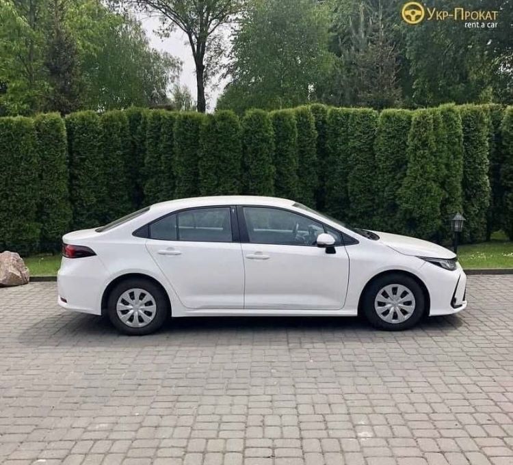 Прокат,оренда авто, подобово, Рівне Укр-прокат Toyota Corolla 2019