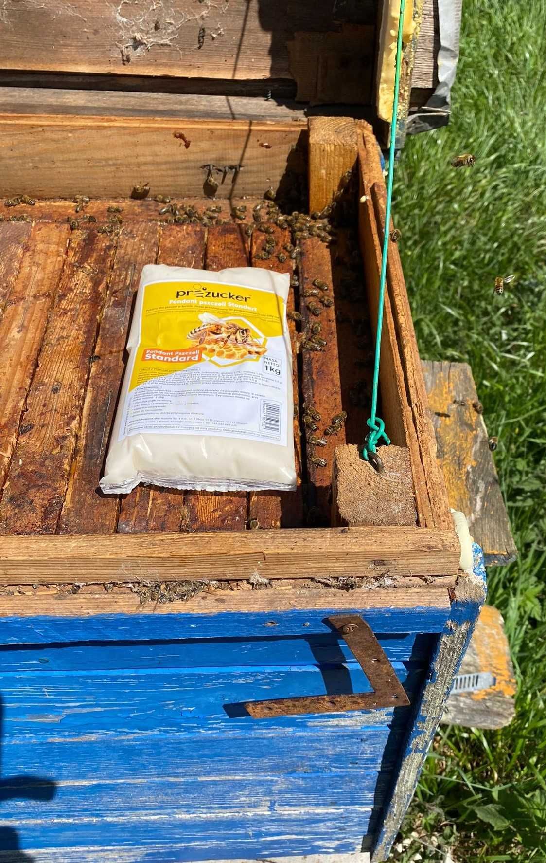 Ciasto pokarm dla pszczół proZucker Standard 30 x 1kg | cukrowe.com