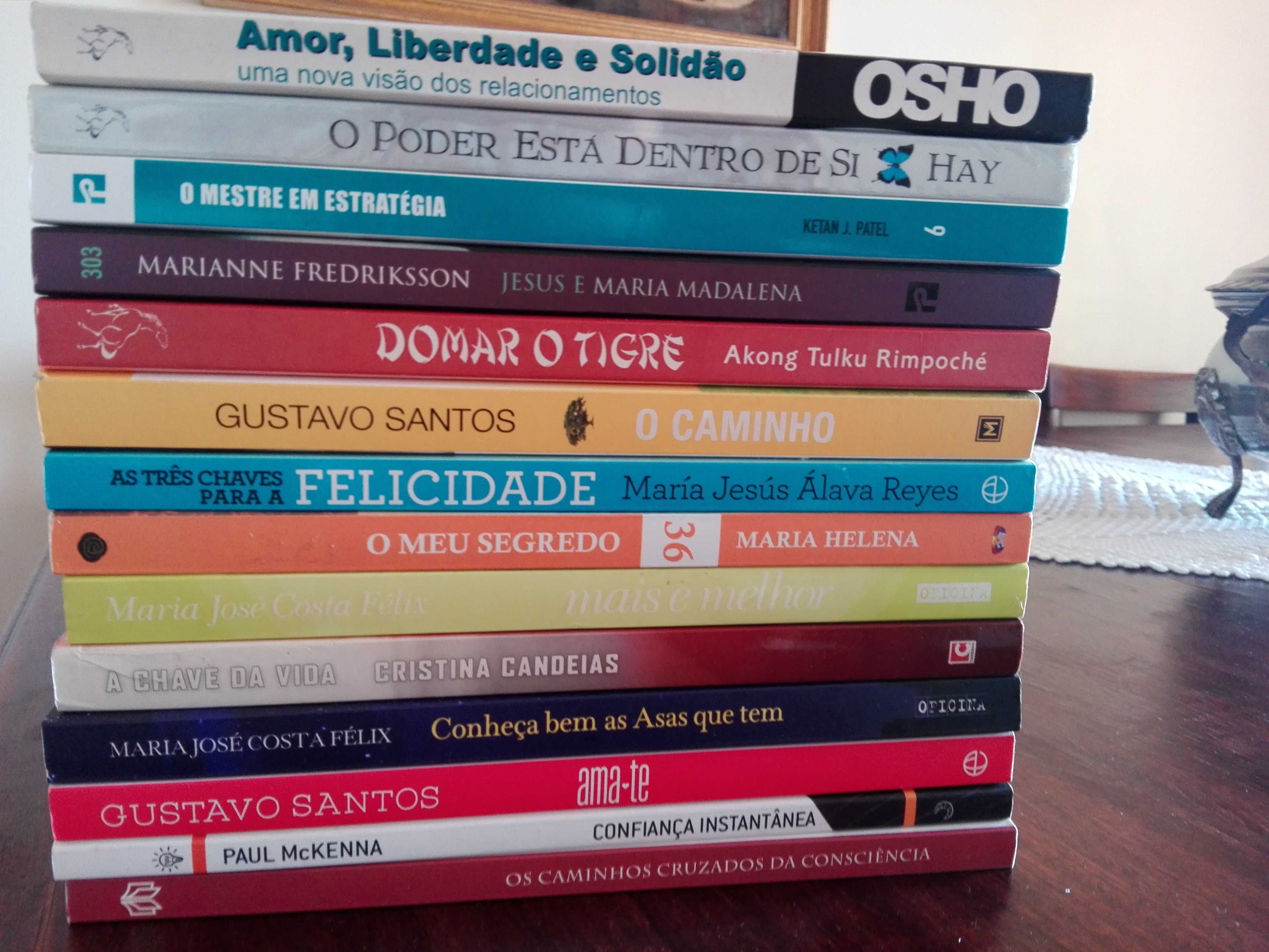 Livros Auto-Ajuda e Desenvolvimento Pessoal (Portes grátis)