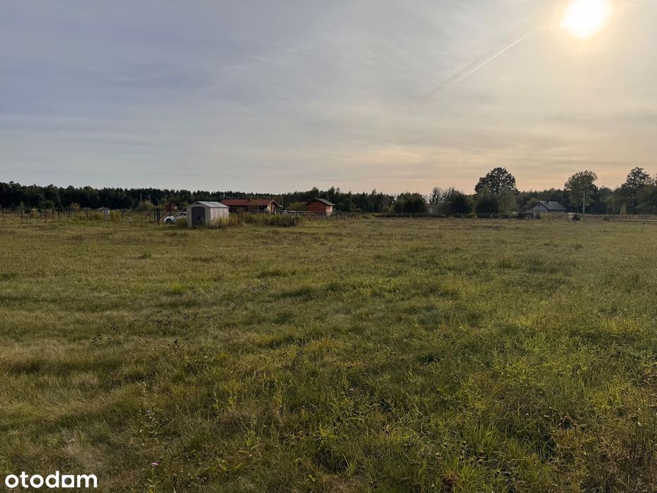 Osada Kąciki Działka rekreacyjna, (MPZP), Mazowiecki Park Krajobrazowy