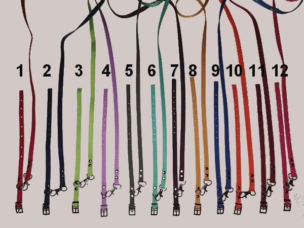 york obroża i smycz dla szczeniaka, zestaw 5 szt. kolory wyprawka