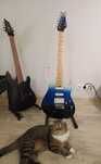 Cort G280DX (Nordic Night)