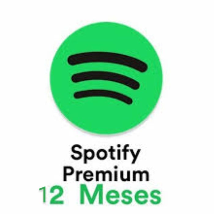 12 meses Spotify premium