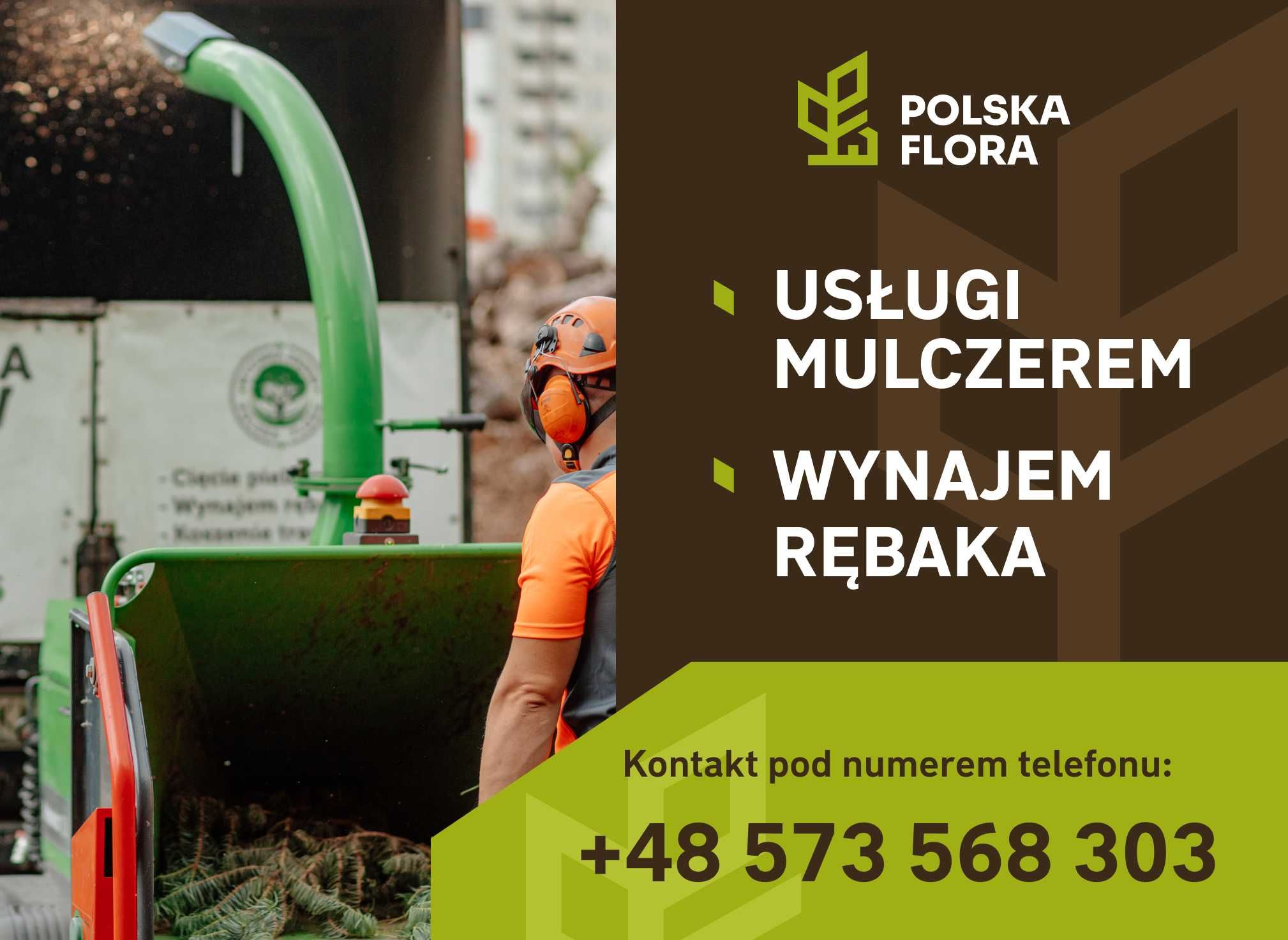 Wycinka drzew, pielęgnacja drzew, sprzedaż drewna. BEZPŁATNA WYCENA