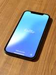 iPhone 12 Pro | 256Gb | Grafite