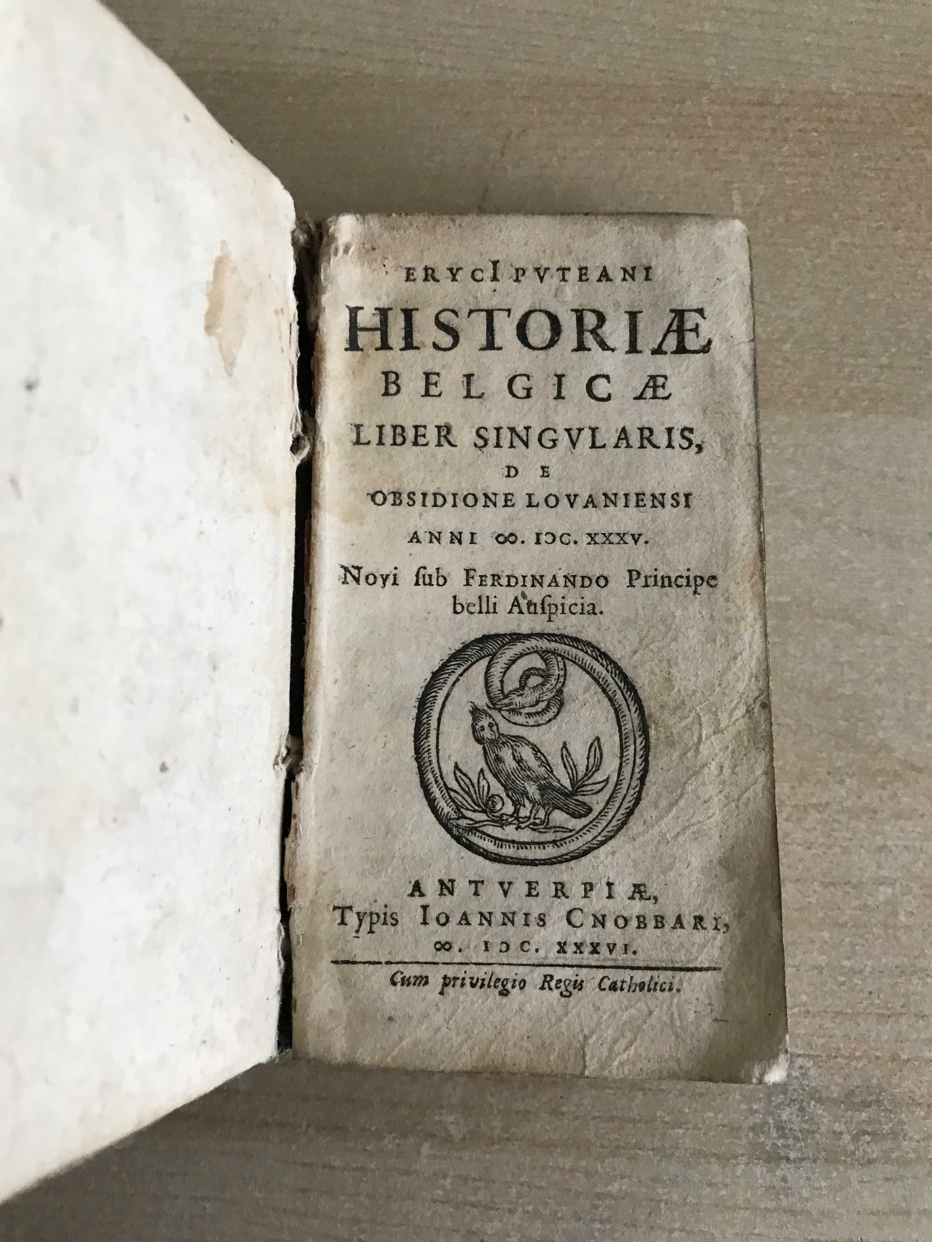 Historia Belgii z 1636 roku