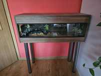 Terrarium 100x50x50