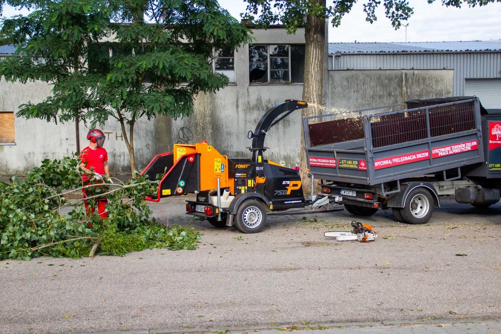 Wycinka pielęgnacja drzew, wycinanie, przycinanie, czyszczenie działek