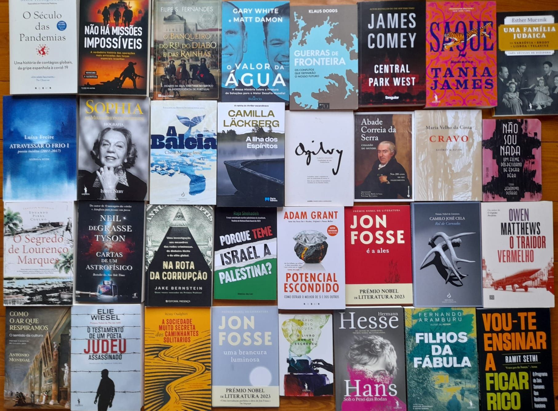 Nobel, geostratégia, bestsellers, poesia NOVIDADES