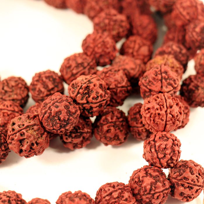 Четки Рудракша (диаметр бусин 9 мм)