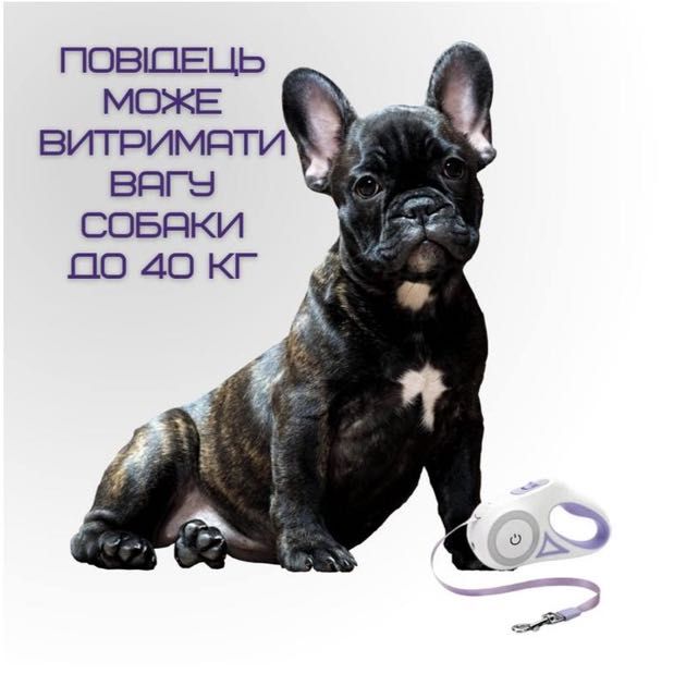 Повідець-рулетка зі світлодіодним підсвічуванням