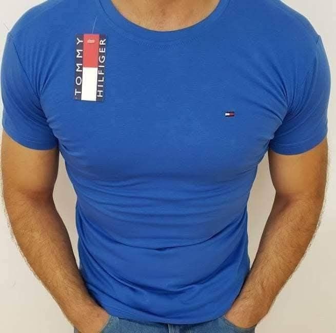 Tommy Hilfiger koszulki męskie M do 2xl logo wyszywane