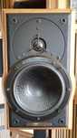 Sonus faber Electa Amator 1 plus firmowe standy Sonus faber Ironwood.