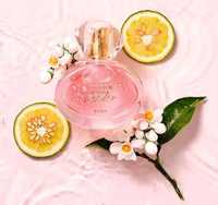 Avon Perfumy damskie i męskie - TTA Wonder i wiele innych :)