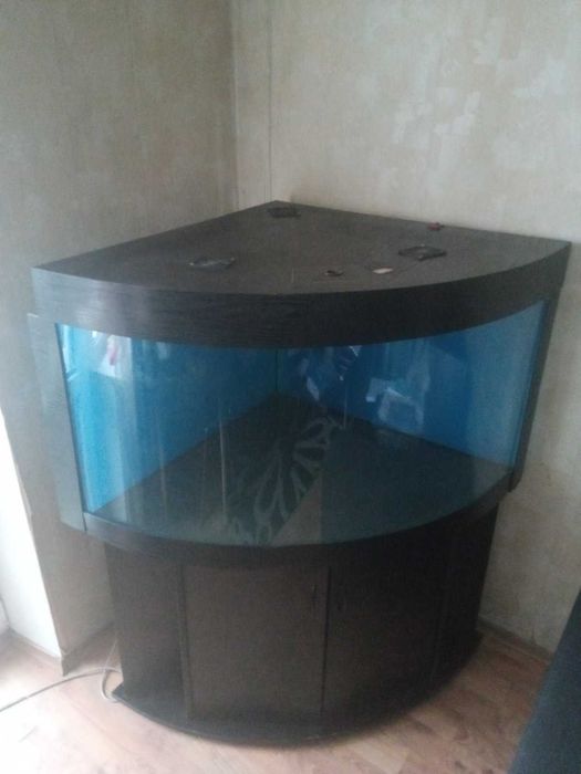 Аквариум угловой.