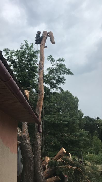 Спил високих дерев , зрізання аварійних гілок) є необхідне спорядження