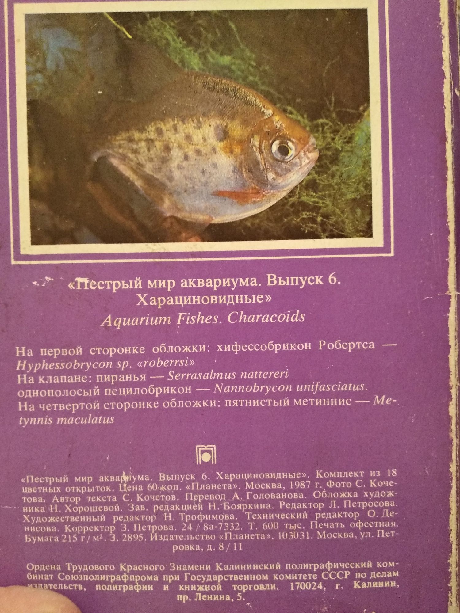 Пособник аквариумиста пакеты для переноски аквариумных рыбок