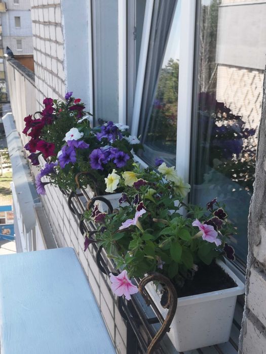 Сдам 1-к квартиру, центр (горветка), посуточно