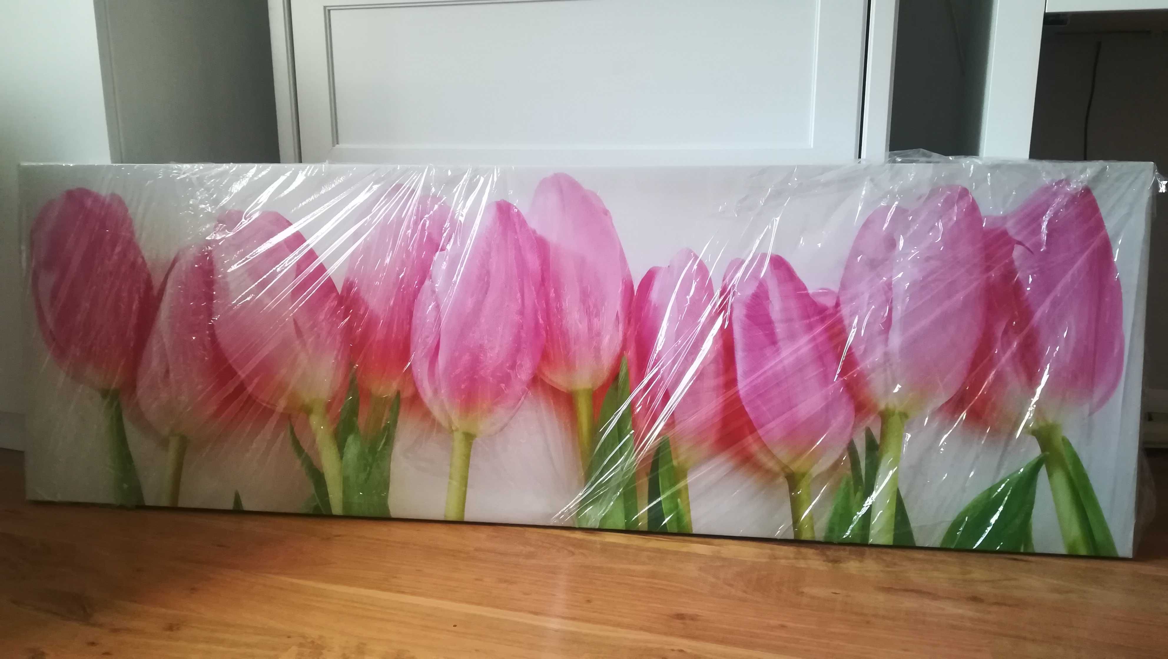 Obraz piękne Tulipany 140x45 cm