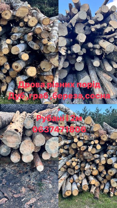 Дрова різних порід,рубані і не рубані