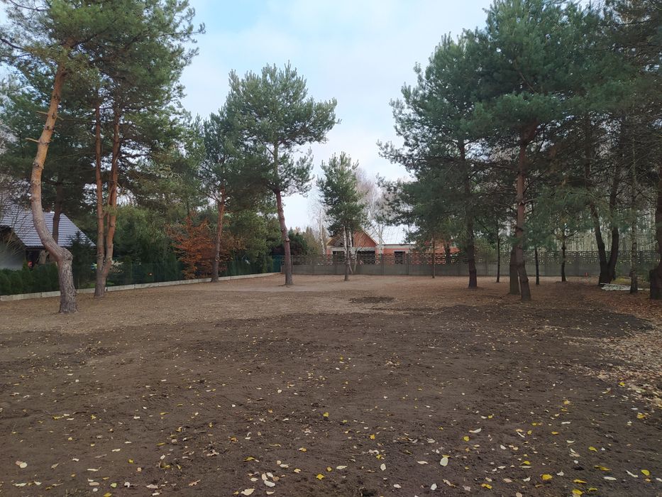 Usługi ogrodnicze - zakładanie ogrodów, pielęgnacja, przycinanie tuj