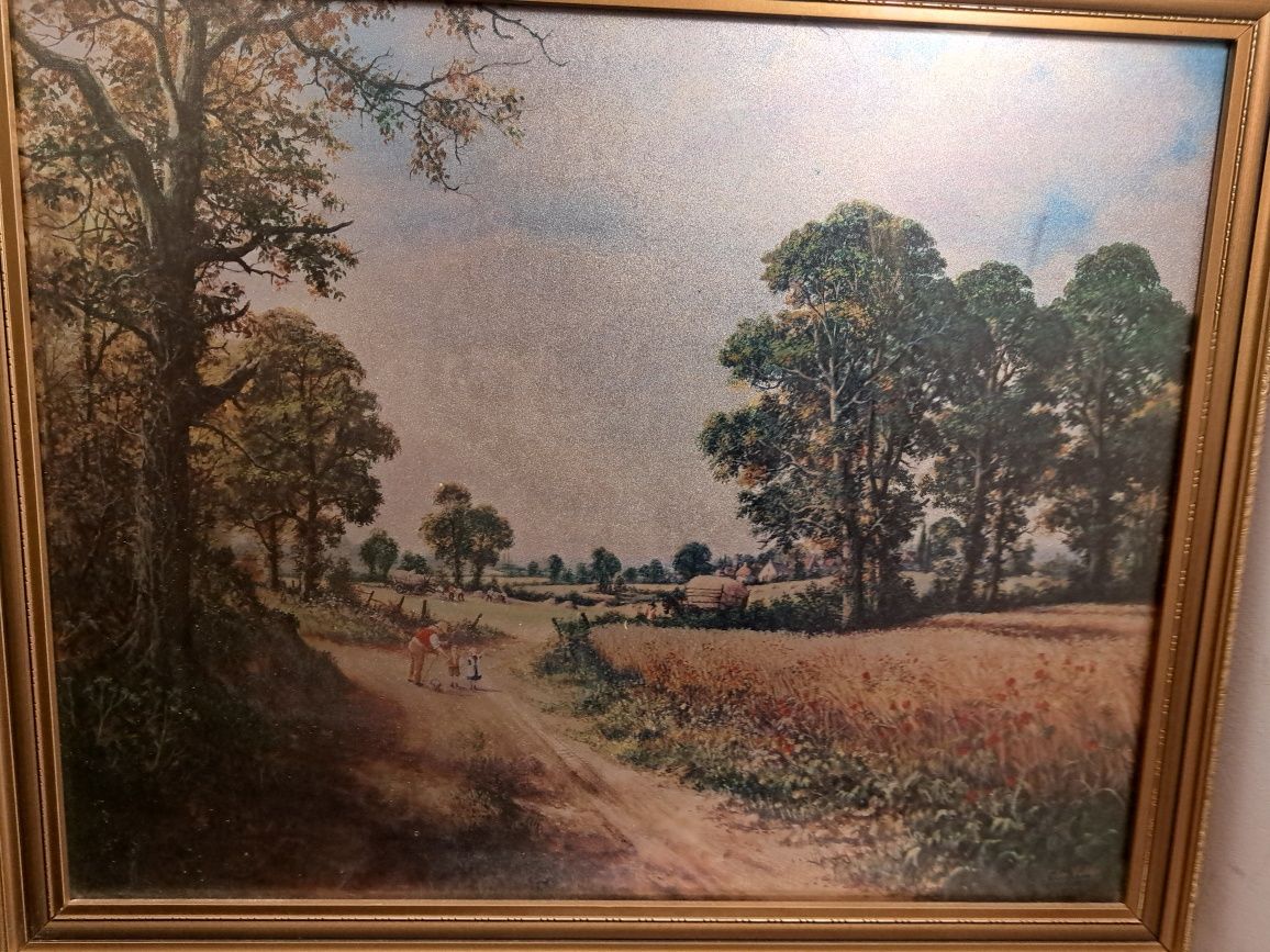 Obraz z natura za szklem