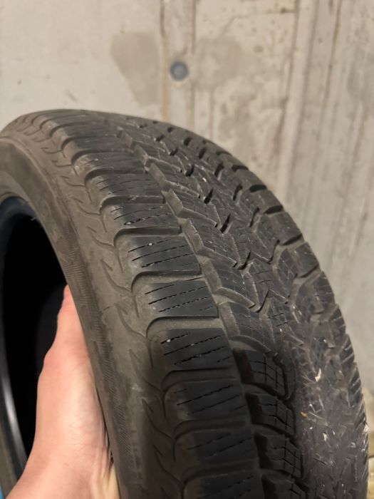 Opony zimowe Dębica 195/55 R16