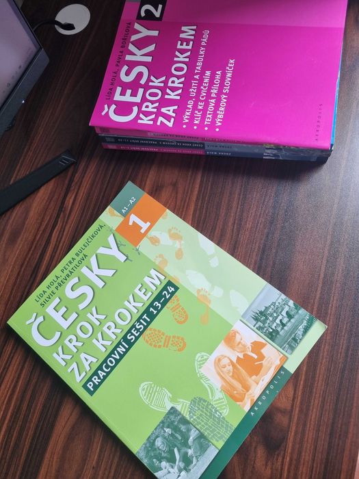 Česky krok za krokem 1. Pracovní sešit: Lekce 13-24