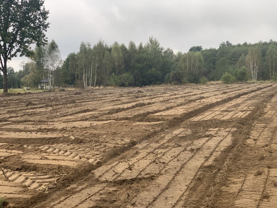 Mulczowanie Karczowanie Rekultywacja Czyszczenie DziałekMulczerWgłebny