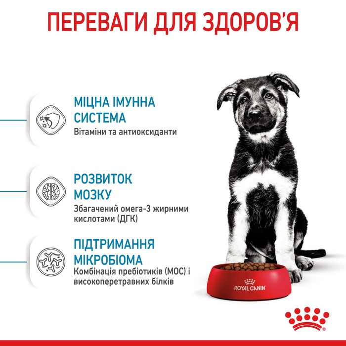 Корм Royal Canin Maxi Puppy 4 кг для цуценят великих порід. Роял Канін