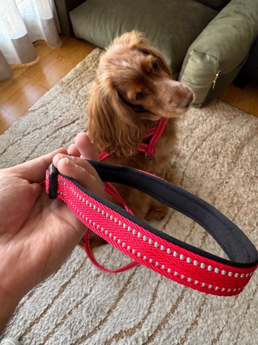 (NOVA) Trela KONG vermelha