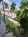 Продам 1 комнатную квартиру. Ремонт. Сквер.