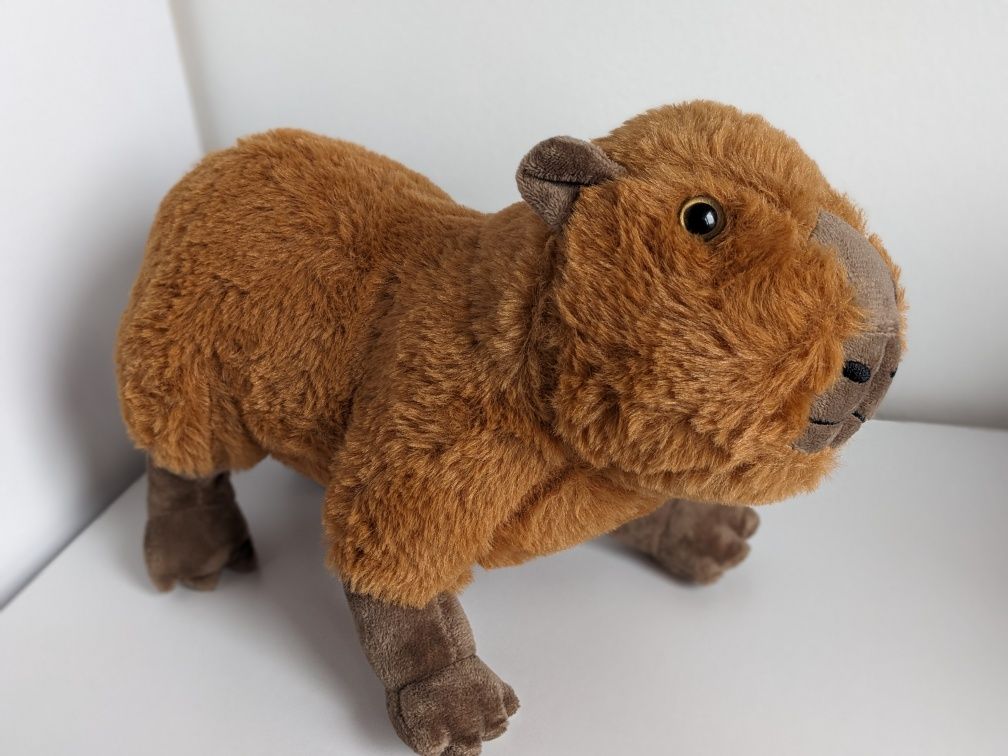 Capybara. Капібара. Капибара іграшка