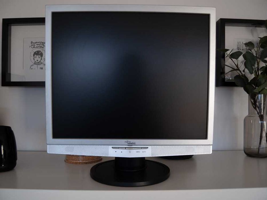 Monitor LCD Fujitsu Siemens L19-8 L9ZA DVI D-SUB 3.5 jack głośniki