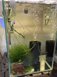 Vendo aquario fluval chi