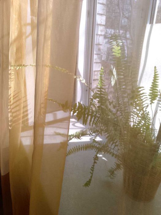 Занавески тюль фіранка органза