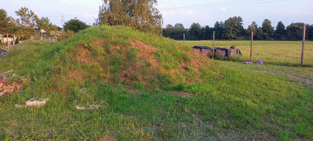 Oddam ziemię, humus