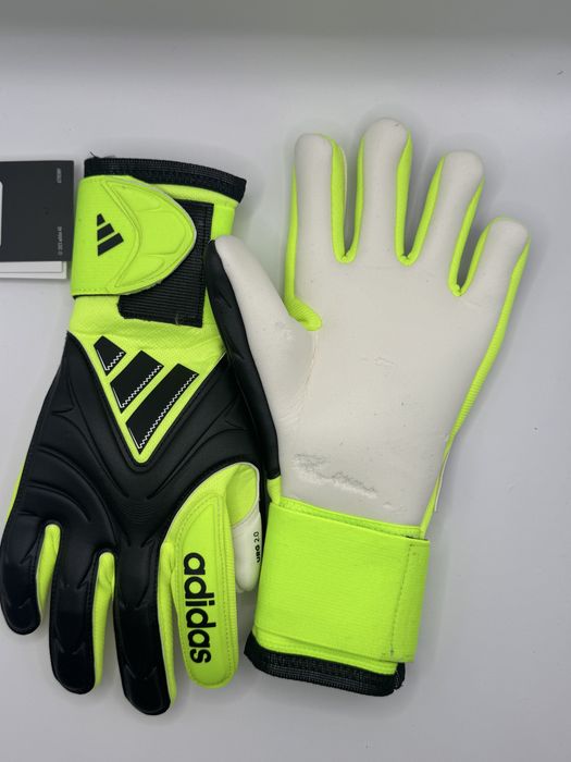 Rękawice bramkarskie adidas Copa Pro Goalkeeper Gloves Junior