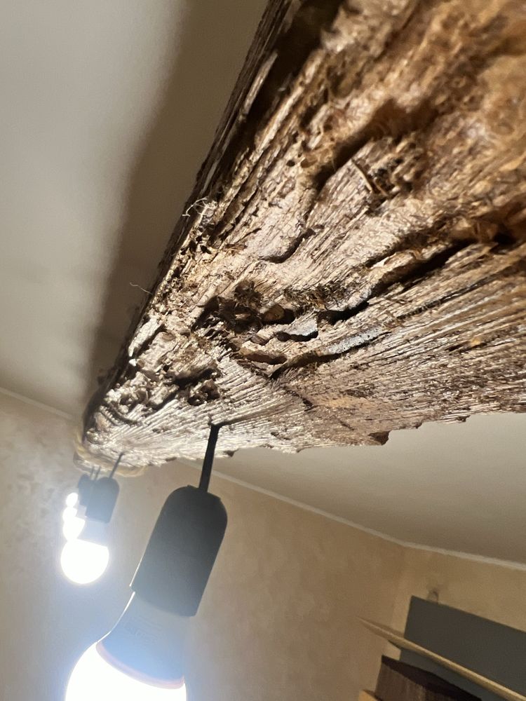 Żyrandol rustykalny / belka oświetleniowa / oświetlenie z drewna