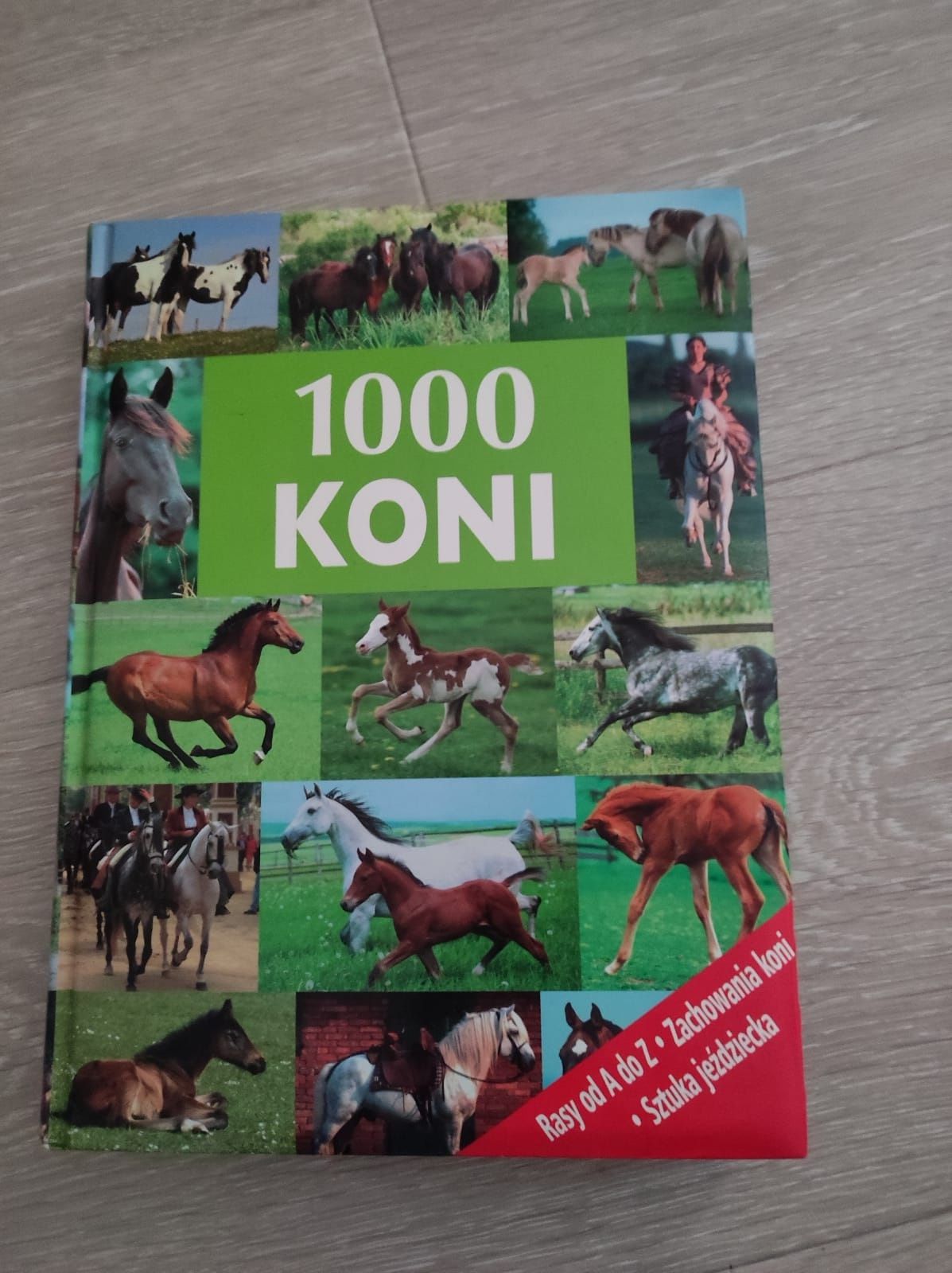 Książka Encyklopedia 1000 koni 336 stron twarda oprawa
