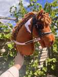 Hobby horse ze sprzętem