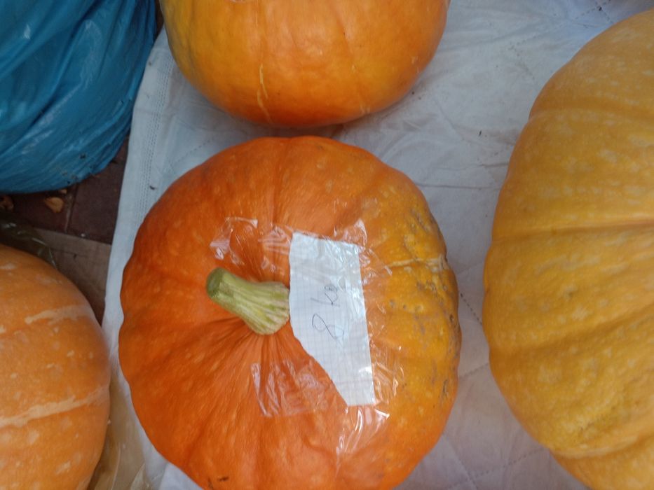 Dynie ekologiczne duże bio