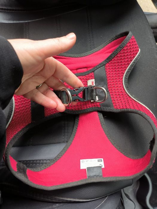 Шлея шлійка Hunter для собаки