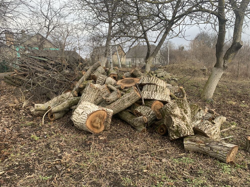 Дрова горіх рівне не рубані ціна договірна