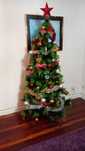 Árvore de natal