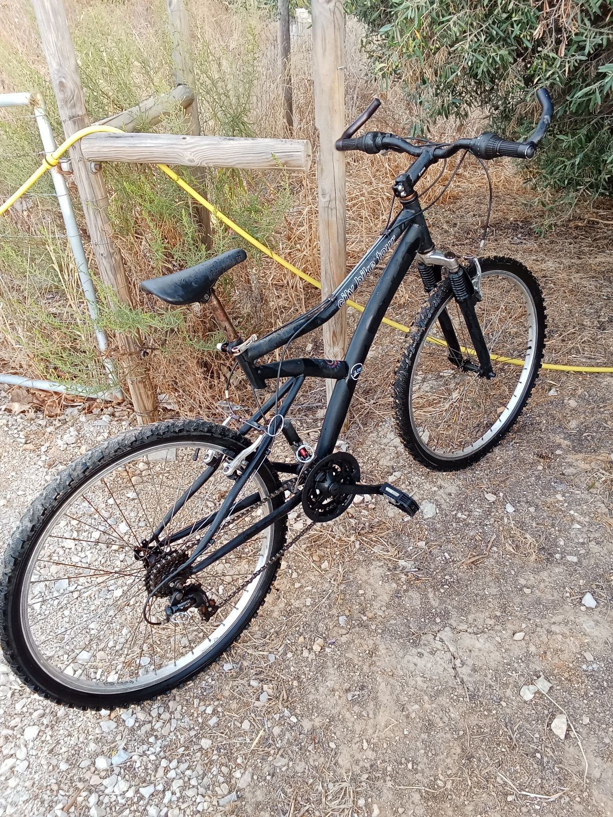 Bicicleta adulto