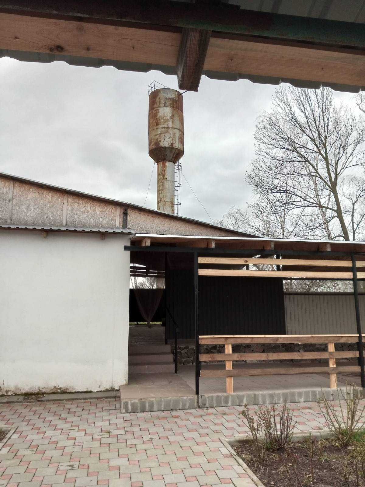 Продаж діючого кафе-магазину в смт. Вільшана Звенигородського району