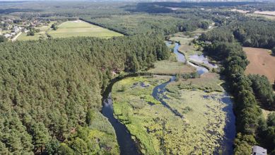 Agroturystyka Borówka domki